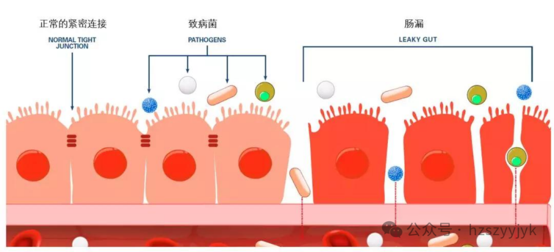 1749451110980917.png 0bf24260ea23528b665407702fd4196c.png