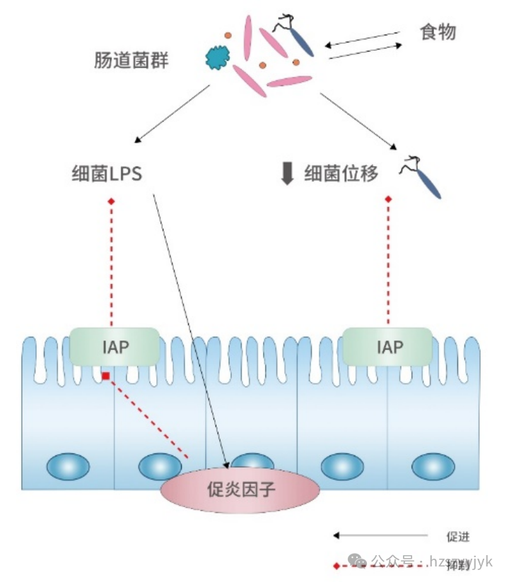 1749451218198822.png 6178d07ca2c61f0400bc956814884806.png