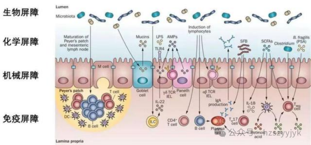 1749451314217374.png b8362cec4372bb6332114b3967926b59.png