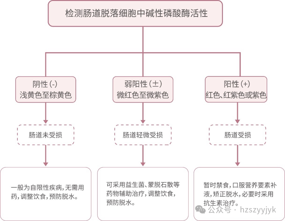 1749451435538829.png 782d46af449130ada8b8763714d0808f.png